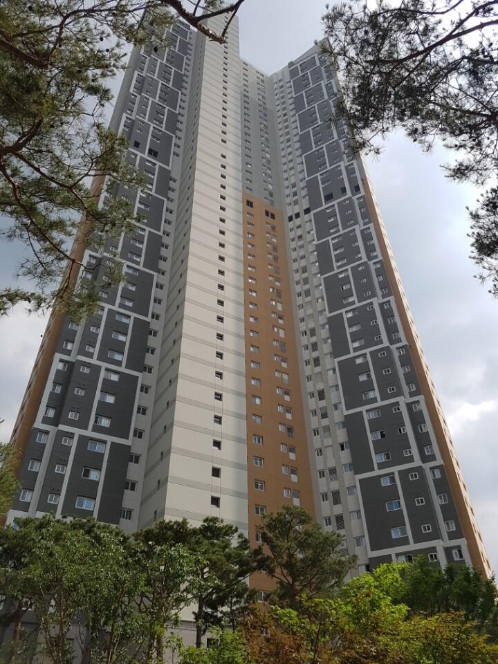 d87be9beb4300277cdaa7a5044672f6e_1529310